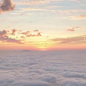 日本女人性生活视频导航

